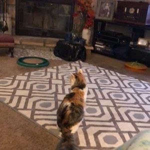 Meet your Posher, Debby